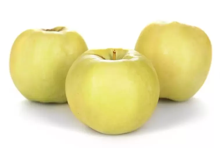 apples to treat varicose veins