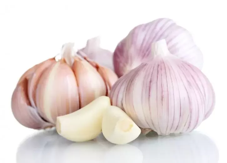 garlic to treat varicose veins of the legs
